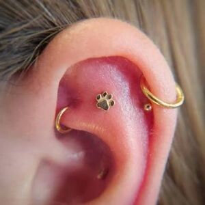 BVLA 14k Threaded End “Flat Dog Paw” ✨ 14k Rose Gold for Piercings